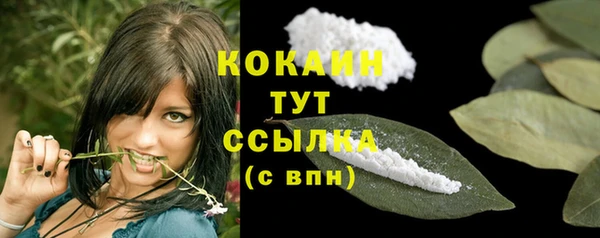 мескалин Михайлов